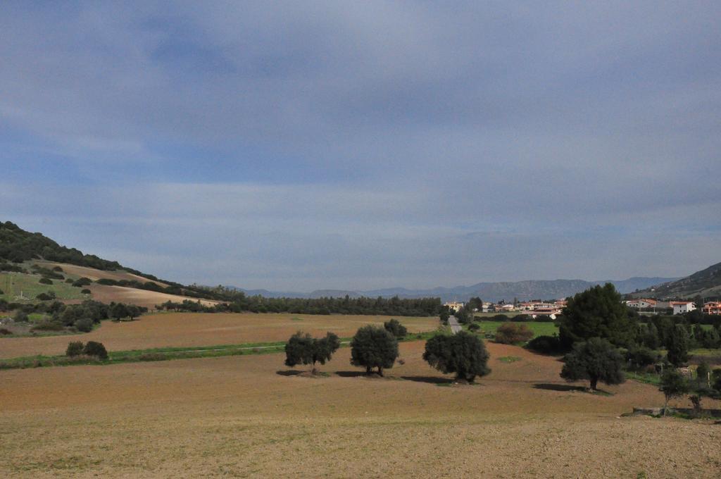 Agriturismo Sa Scalitta Carbonia Exterior foto